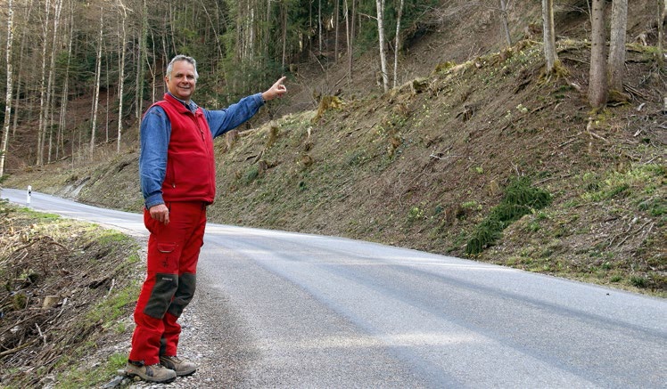 Schutzwälder Pflege TIR transNews