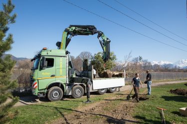 Mercedes-Benz Arocs Gafner AG TIR transNews