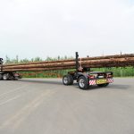 Holztage in Mildenau Doll Holztransport TIR transNews