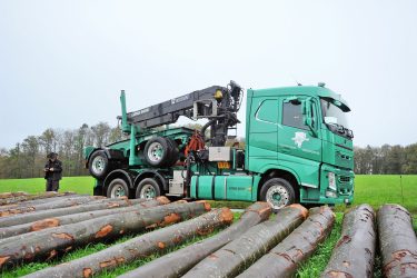 Holztransport Haas Fahrzeugtechnik Volvo Trucks TIR transNews