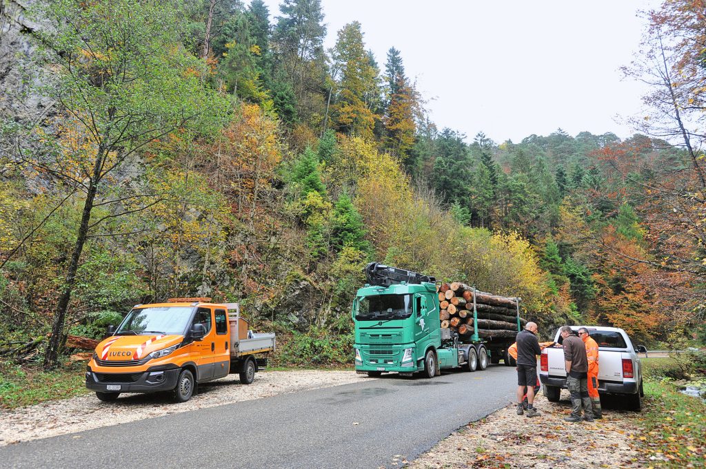 Rundholztransporteur Holztransport Haas Fahrzeugtechnik Volvo Trucks TIR transNews