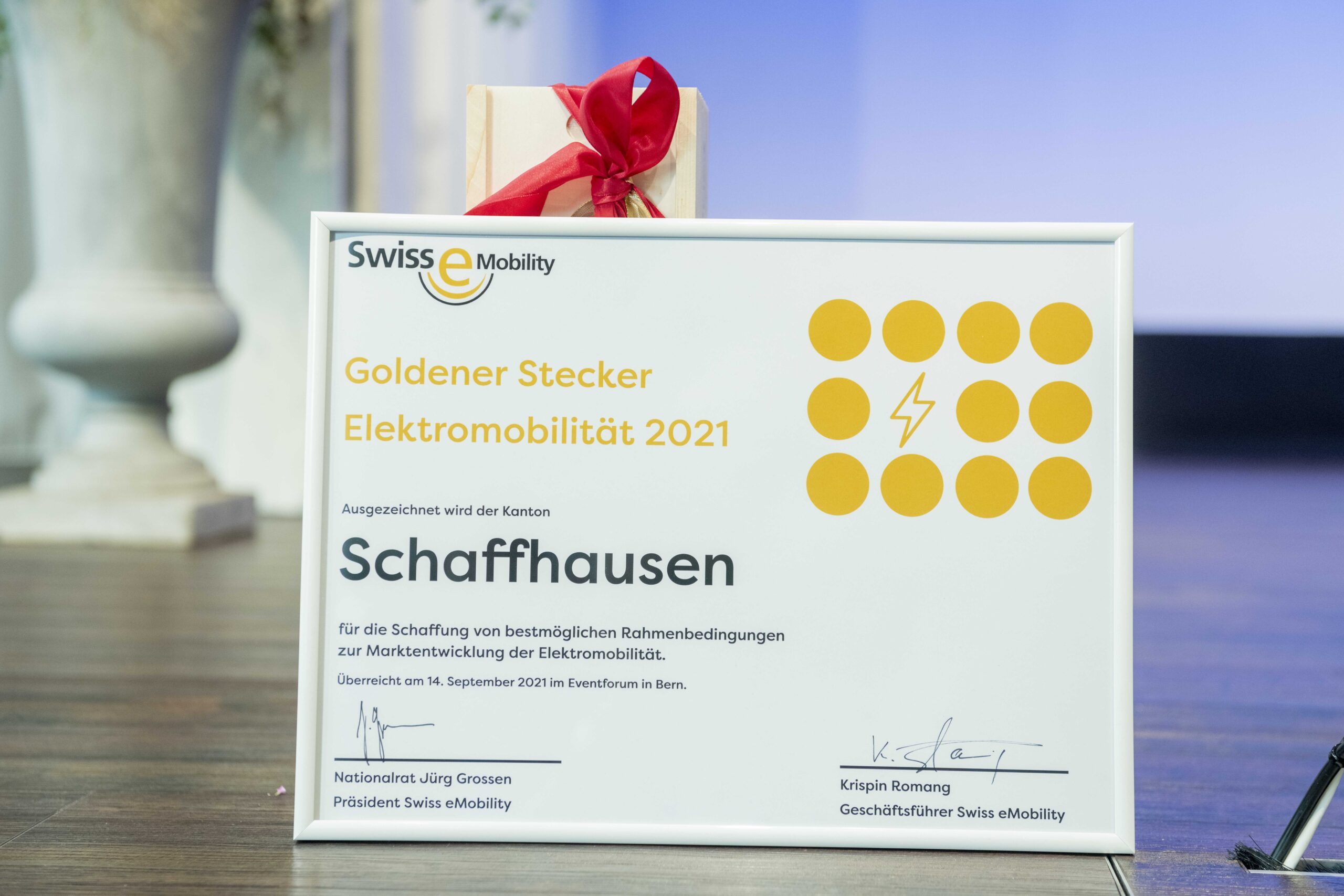 Schaffhausen Goldener Stecker 2021 TIR transNews